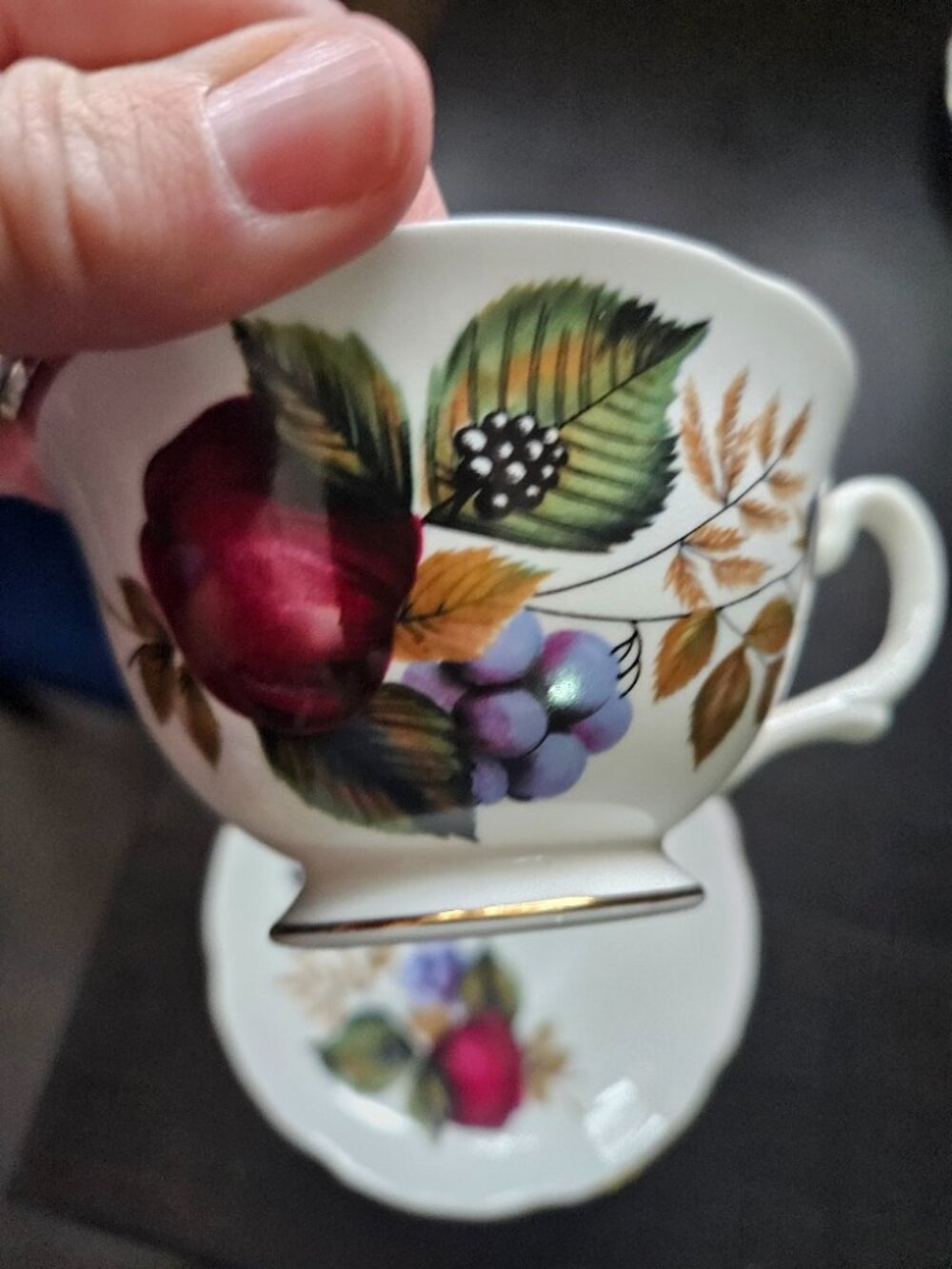 Royal Grafton Bone China Fruit and Berries Cup and Saucer Set
